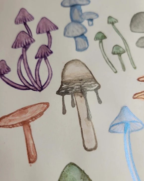 Painting Mushrooms – from guest blogger Diana&nbsp;Perez