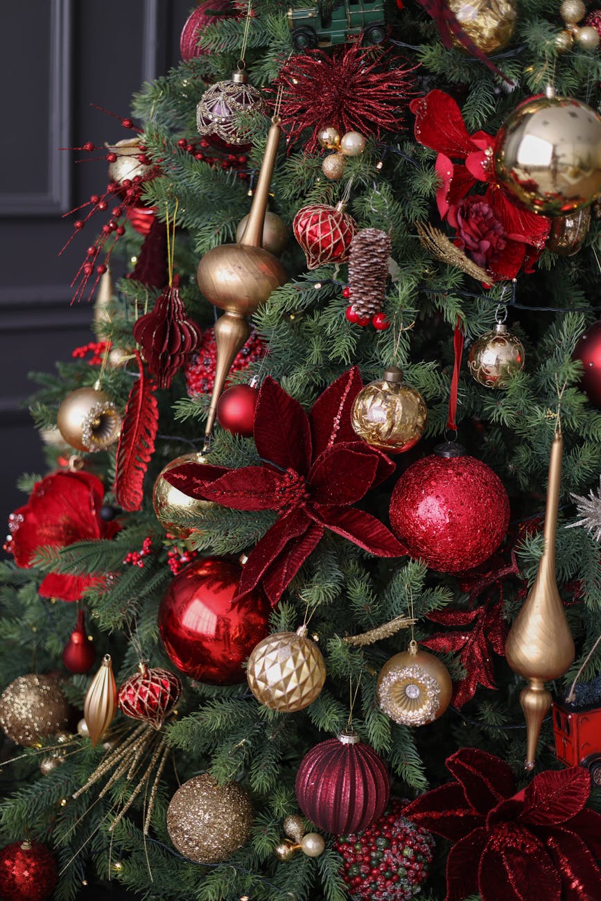 ADVENT SERIES—WEEK ONE:&nbsp;HOPE