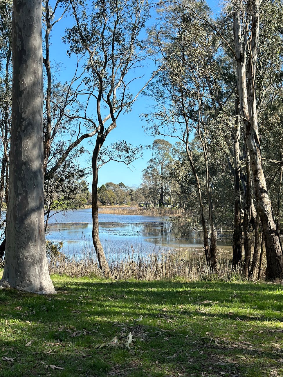 The Importance of Pausing: Finding Beauty Along the&nbsp;Way