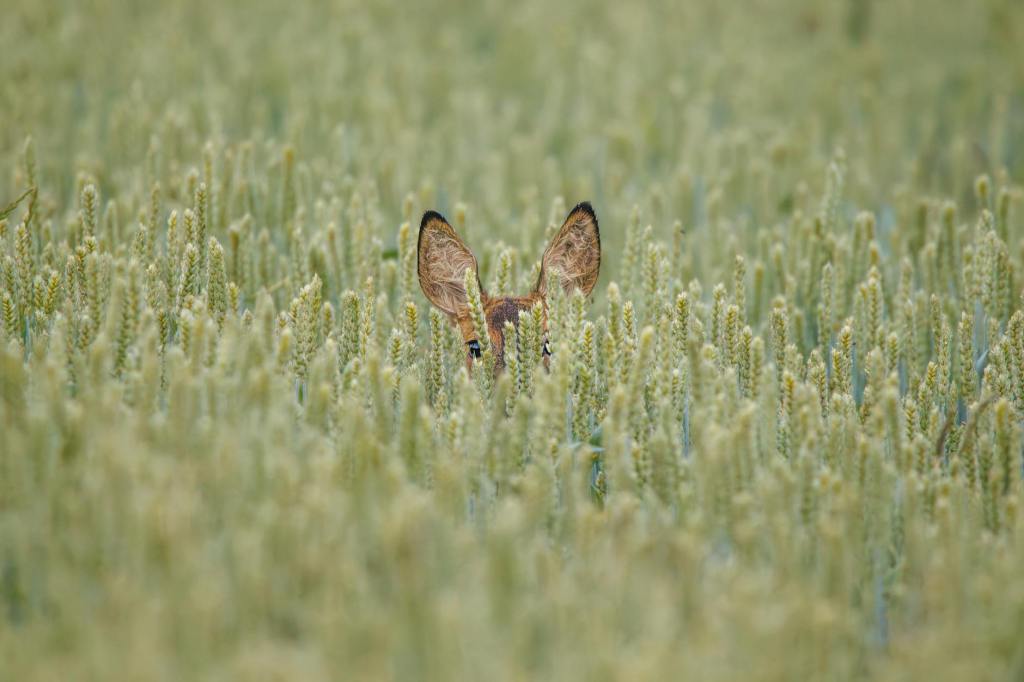 Avoidant Attachment: Understanding Attachment Styles&nbsp;Spiritually