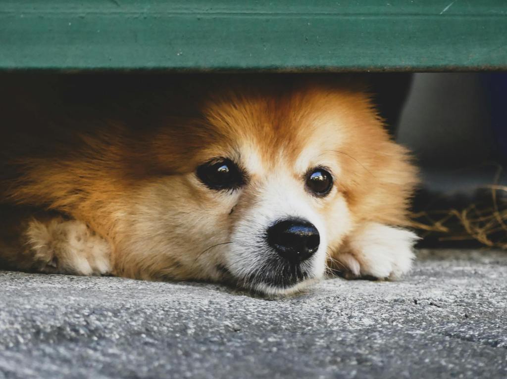 Disorganized Attachment: Understanding Attachment Styles&nbsp;Spiritually